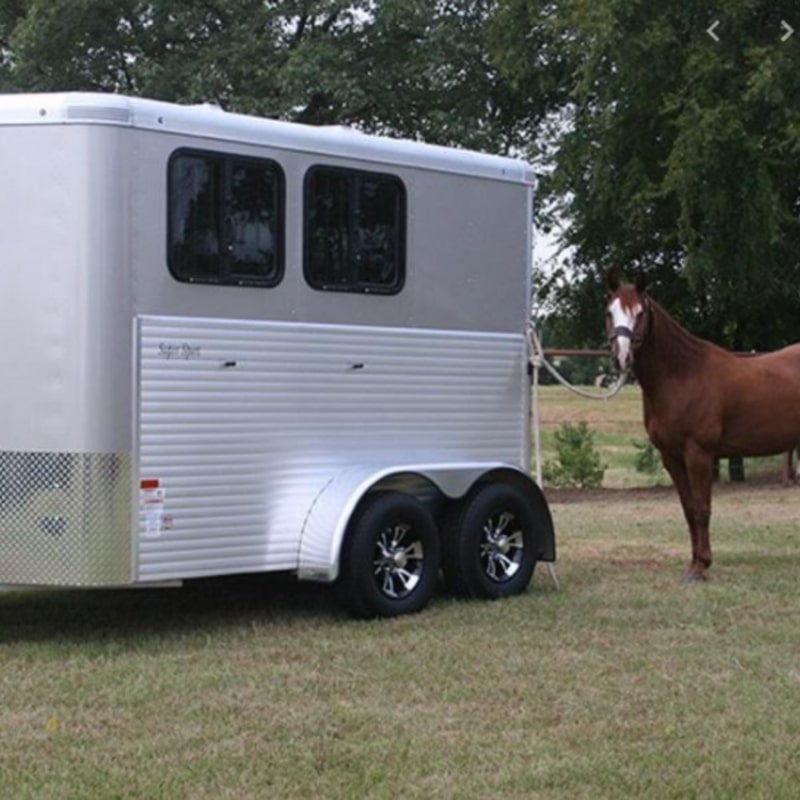 Instant Horse Trailer Repair Paste