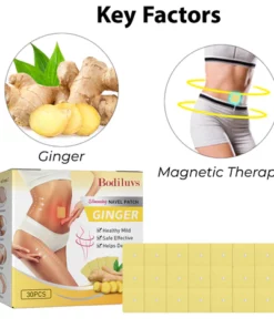 Bodiluvs Slimming Ginger Navel Patch