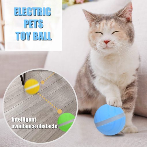 LED Pet Motion Ball