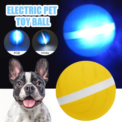 LED Pet Motion Ball