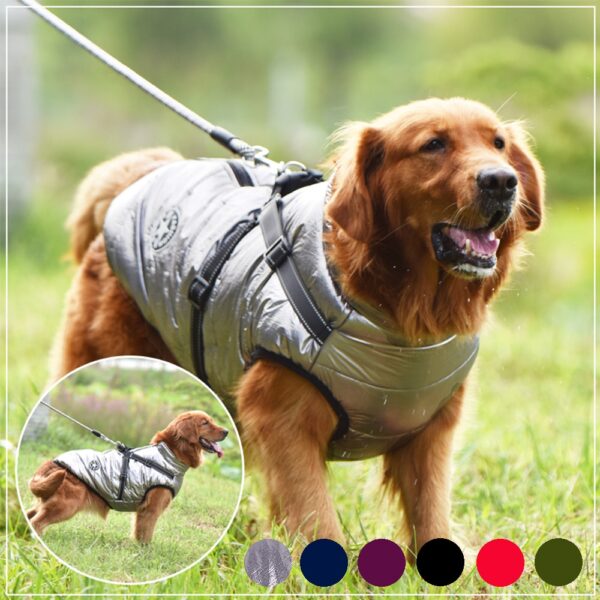 Pet Winter Jacket With Harness