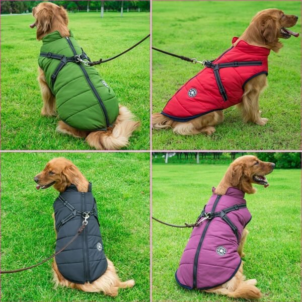 Pet Winter Jacket With Harness