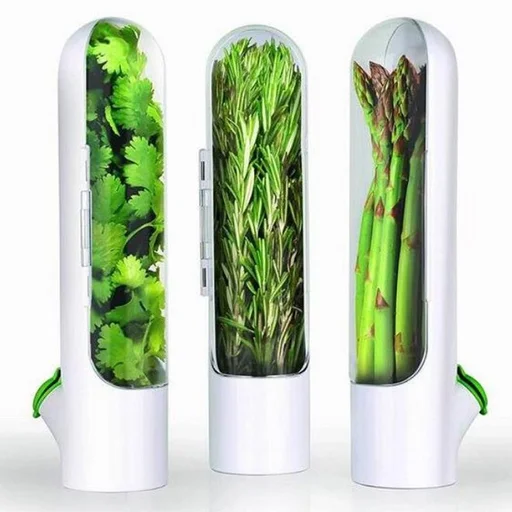 Lasting Refrigerator Herb Keeper