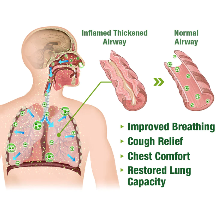 KISSHIď¸ BreathePure Respiratory Cleansing Herbal Nasal Device