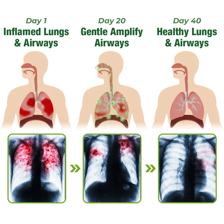 KISSHIď¸ BreathePure Respiratory Cleansing Herbal Nasal Device