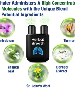 GFOUK HerbalBreathe Respiratory Cleansing Aerosolizer