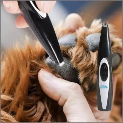 Low Noise Electric Pet Grooming  Pet Local Trimmer