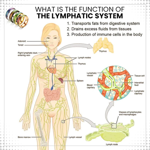 Lymphvity Thermotherapeutic Body Detox Ring