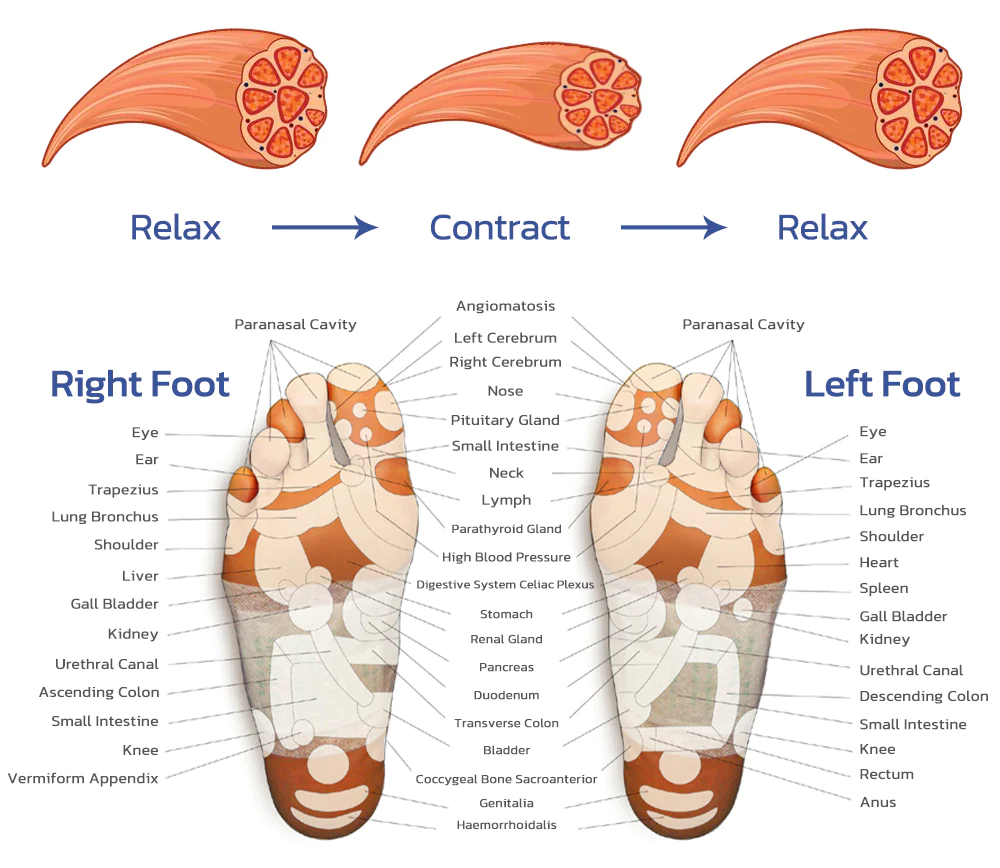 Tourmaline acupressure self-heating shaping socksLimited time discount Last 30 minutes