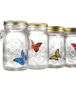 Magic Butterfly Jar