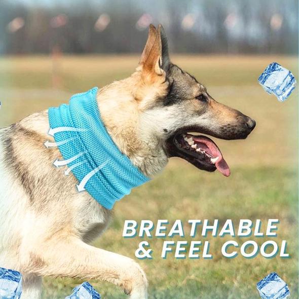 Magicool Dog Cooling Scarf