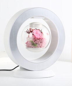 Magnetic Floating Immortal Flower Vase Lamp