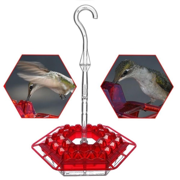 Mary's Sweety Hummingbird Feeder