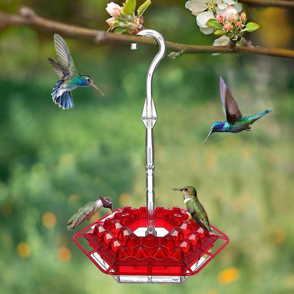 Mary's Sweety Hummingbird Feeder