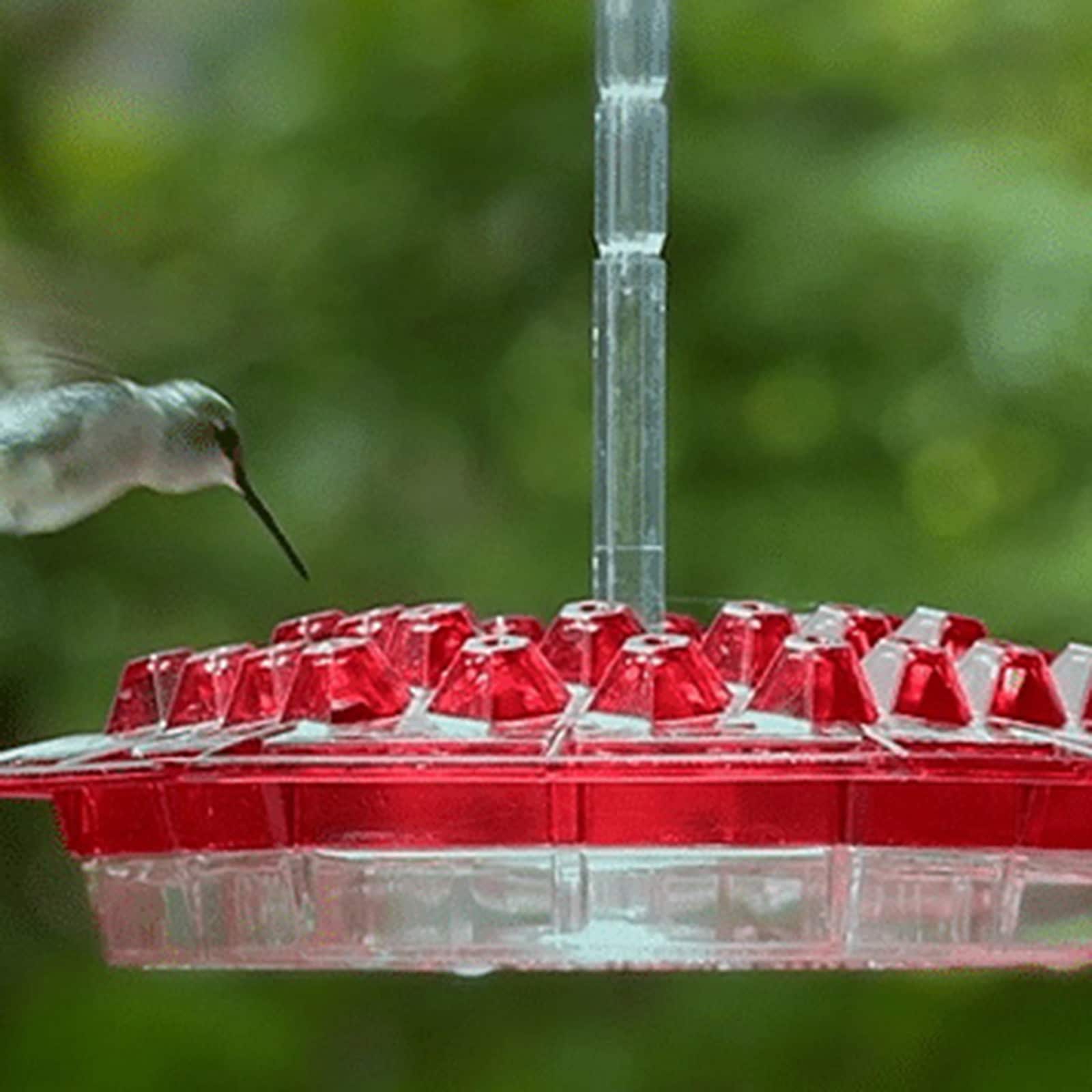 Mary's Sweety Hummingbird Feeder