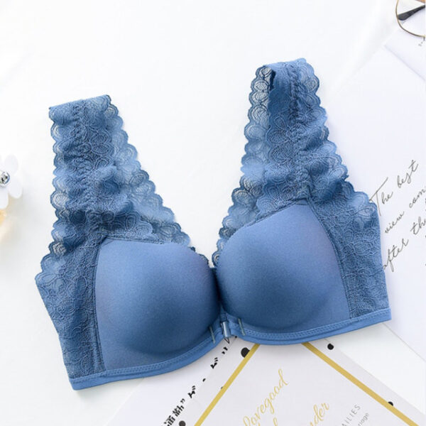 Posh Lace Bra