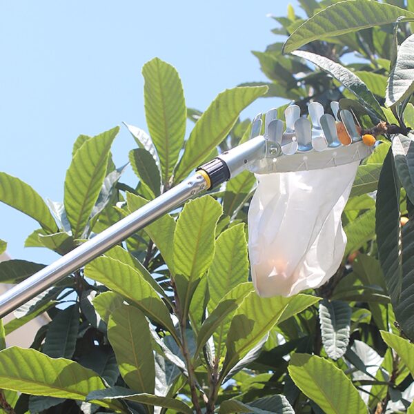 Fruit Picker Head Basket