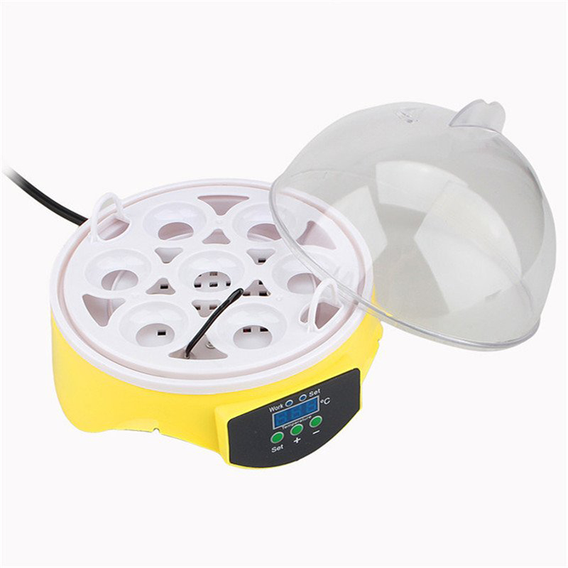 Mini Egg Incubator