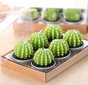 Mini Cactus Candles