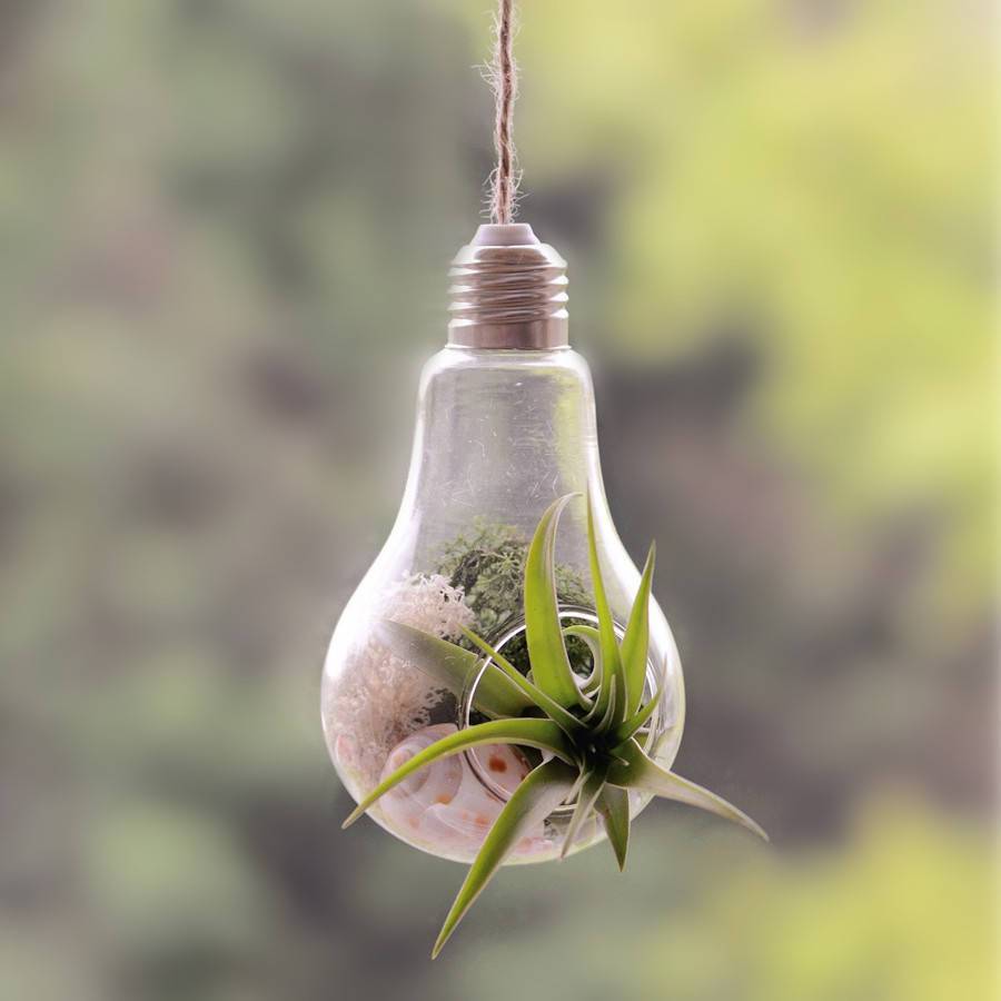 Modern Light Bulb Planter