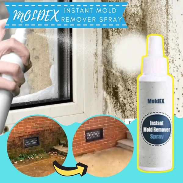 MoldEX Instant Mold Remover Spray