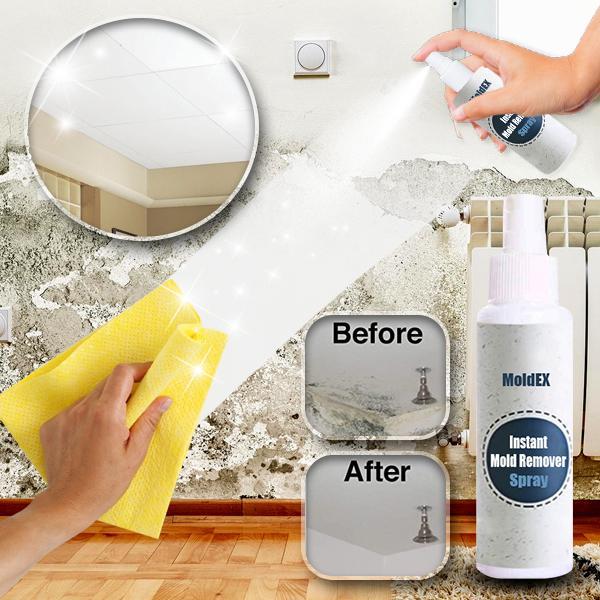 MoldEX Instant Mold Remover Spray