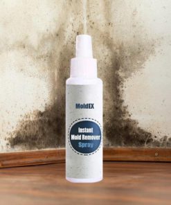 MoldEX Instant Mold Remover Spray