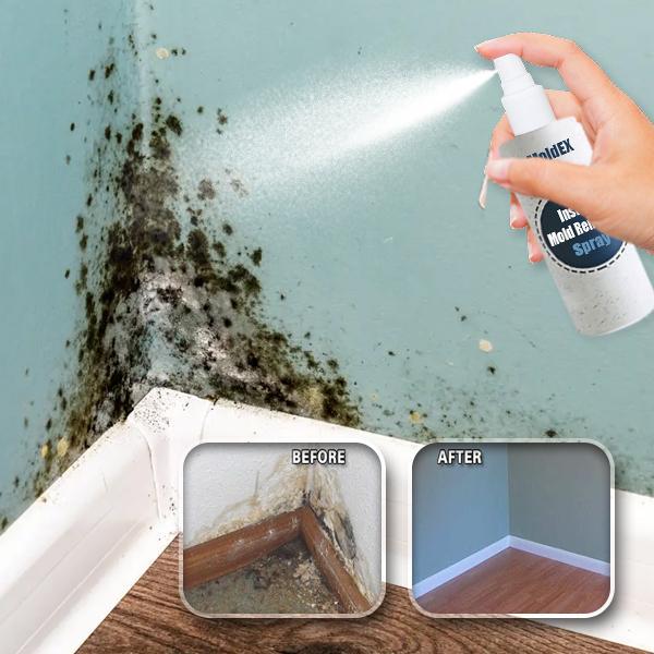 MoldEX Instant Mold Remover Spray