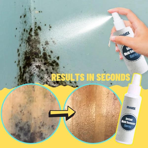 MoldEX Instant Mold Remover Spray