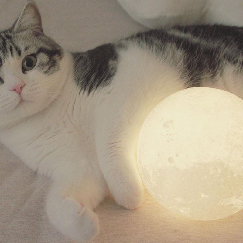 Moon Nightlight Lamp