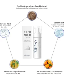 Oveallgo Japan Natural Amino Acids Cleansing Foam