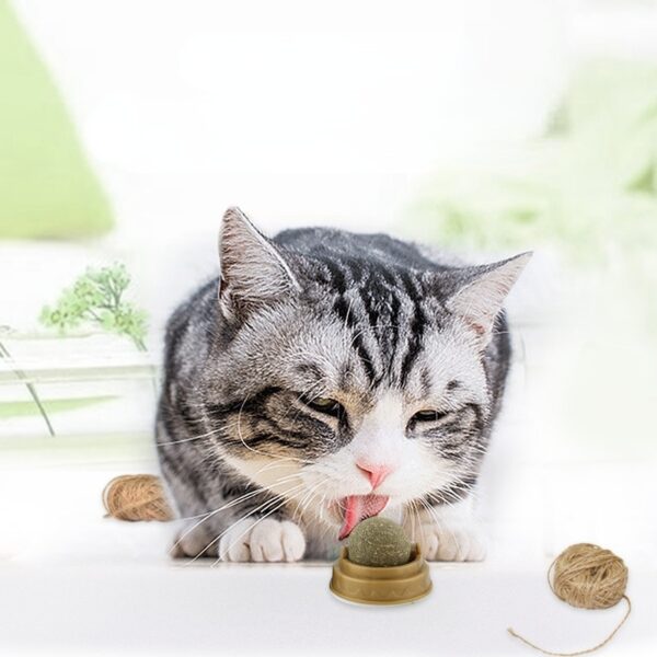 Catnip Ball Cat Toys