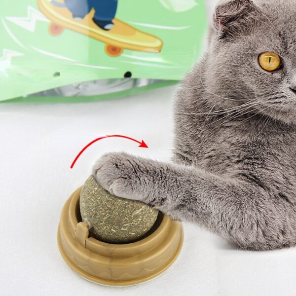 Catnip Ball Cat Toys