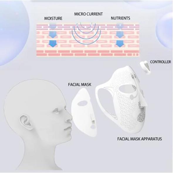 NeoPulse Pro Facial Beauty Device