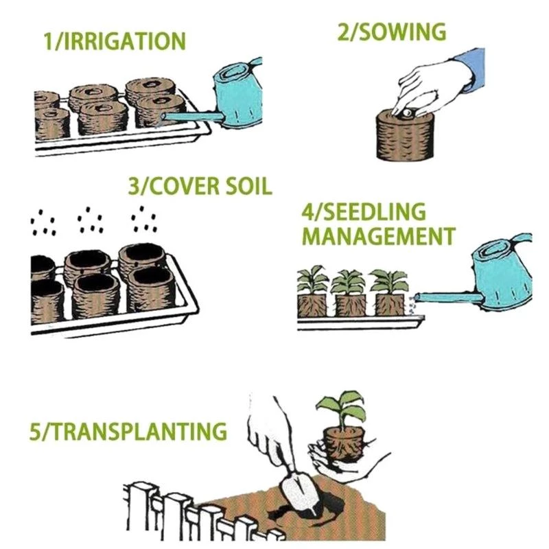 Peansea Cultivate Seed Migration Tool