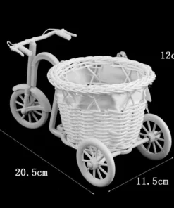 Arhae Tricycle Bike Flower Basket