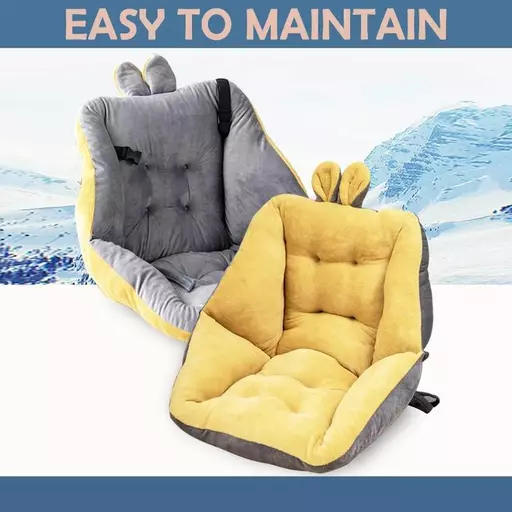 Orthopedic Seat Cushion and Lumbar Support Pillow