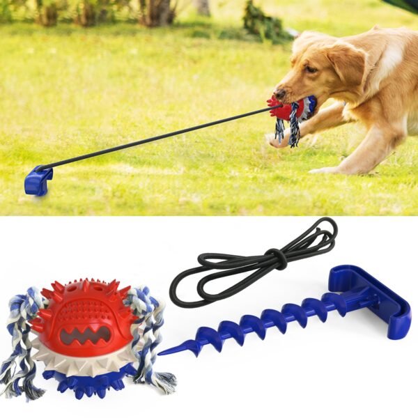 Outdoor Dog Chew Toy