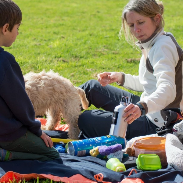 Outdoor Waterproof Blanket Bag