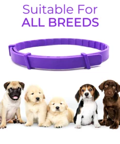 Ourlyard VerminOFF Pest Free Pet Health Belt