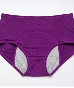 High Waist Leak Proof Panties