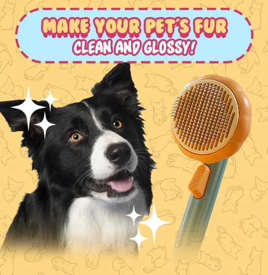 Pet Cleaning Slicker Brush