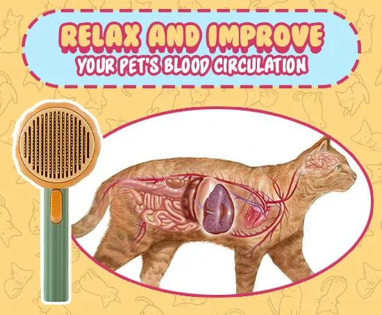 Pet Cleaning Slicker Brush