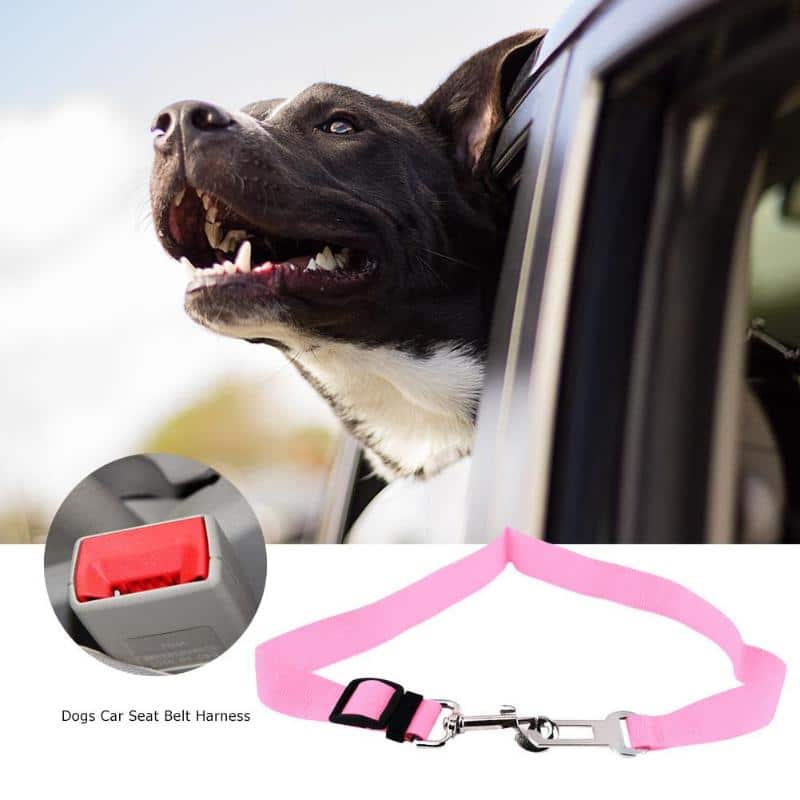 Universal Pet Seatbelt