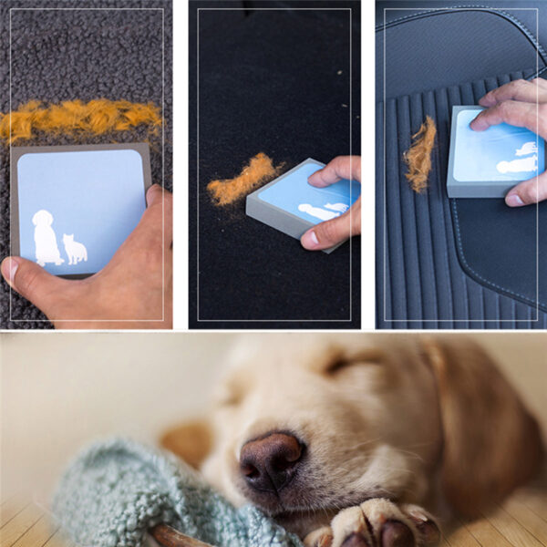 Pet Hair Cleaning Brush