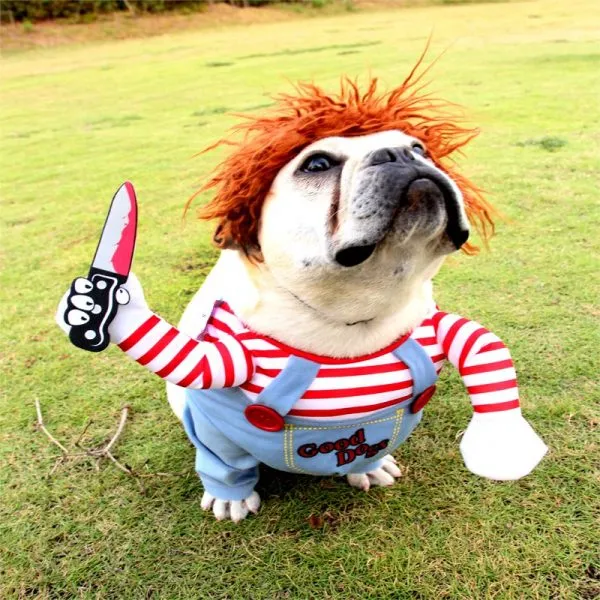 Halloween Deady Doll Chucky Dog Costume