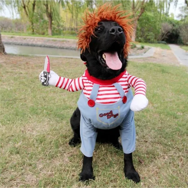 Halloween Deady Doll Chucky Dog Costume