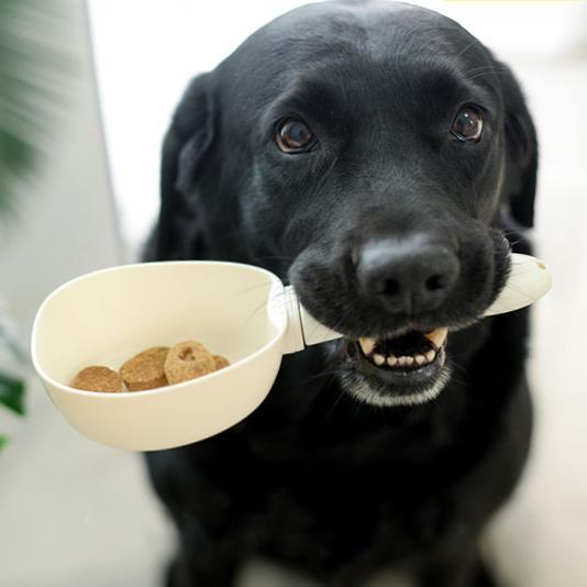 Pet Food Measuring Scoop