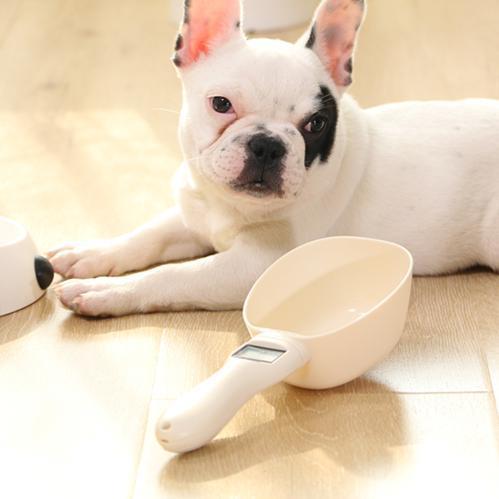 Pet Food Measuring Scoop