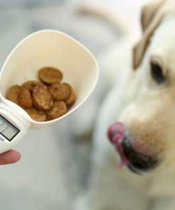 Pet Food Measuring Scoop